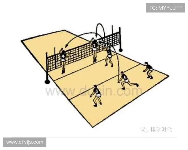 武汉排球队挑战赛战术解析与表现评估全面分析