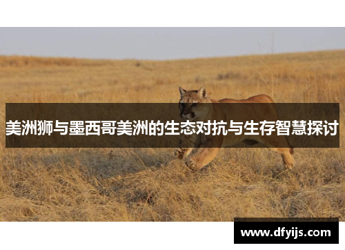 美洲狮与墨西哥美洲的生态对抗与生存智慧探讨